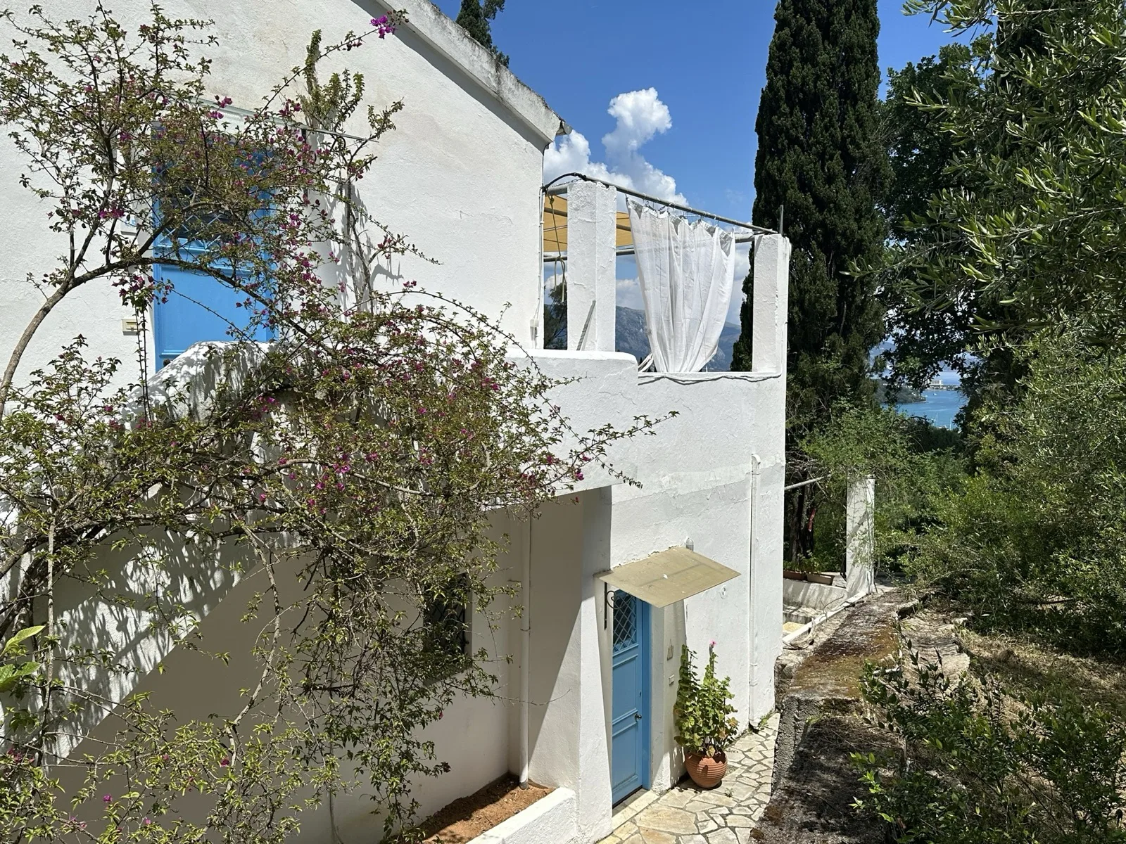 House exterior with bougainvillea and blue door